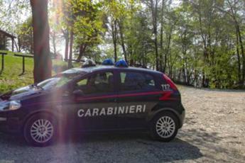 Varese, trovato cadavere in un bosco a Luino: nessuna pista esclusa