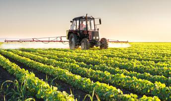 Osservatorio Enpaia-Censis del mondo agricolo, 70% degli italiani è favorevole a lavorare oltre all’età del pensionamento