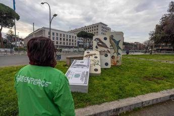 Cop16, Greenpeace in azione: “Se cade la natura, casca il mondo”