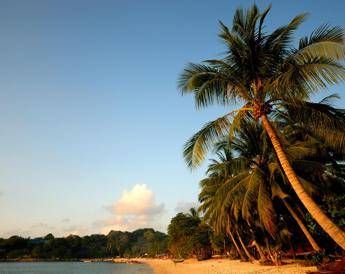 Zanzibar, 51enne veronese trovato morto in spiaggia